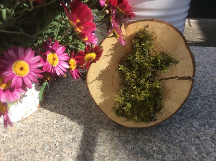 Grundschule Bünzwangen