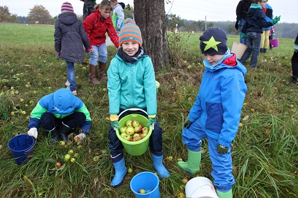 Grundschule Bünzwangen