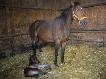 Grundschule Bünzwangen