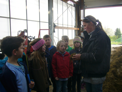 Grundschule Bünzwangen