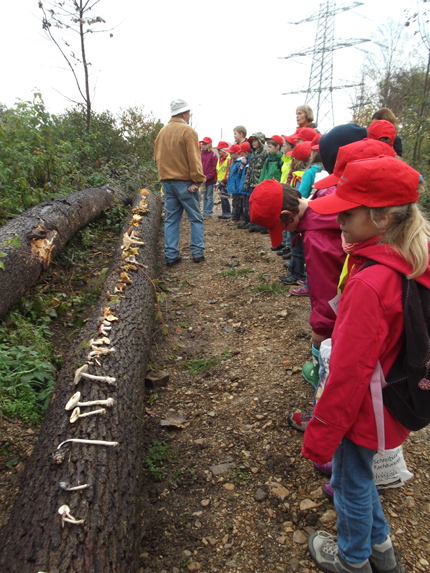 Grundschule Bünzwangen